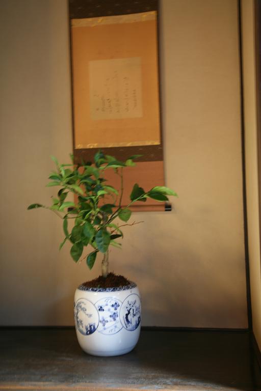 Tenkai Kyoto